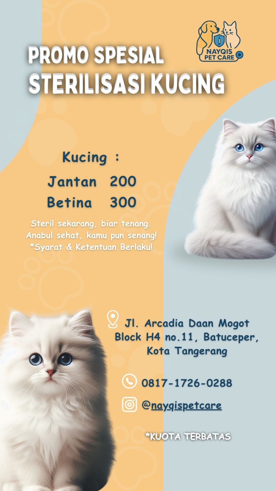 Promo Kucing